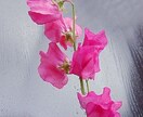 今のあなたの魅力を伝えるお花をお選びします 魅力を表すお花＆高次元のメッセージ＆未来を変えるセッション イメージ4