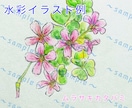 やさしい水彩で植物イラスト・SNSアイコン描きます やさしい水彩で、日常にそっと寄り添う植物イラスト イメージ1