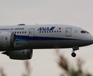 撮影した旅客機（ANA様）の写真を提供します あなただけのための飛行機写真を提供します。 イメージ1