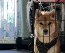 モヤモヤした気持ちを少しでも晴らします 誰かに話して少しでもスッキリしませんか？ イメージ3