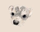 あなただけのペットの絵を描きます ペットの魅力を形に残すお手伝いをさせてください。 イメージ2