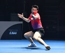 卓球に関する悩み聞きます 国体・全日本出場経験有り　技術・戦術なんでもご相談に乗ります イメージ1