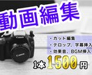 10分前後の動画、1本1500円で編集します とりあえずYouTubeに動画投稿してみたい方！格安です！ イメージ1