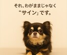 犬の飼育の悩みを 分からない所から一緒に整理します 初めての飼育で不安がある方へ 何から始めるか一緒に考えます イメージ2