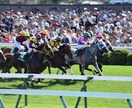 競馬投資　1点買いお教えします 予想不要、競馬知識不要。競馬を楽しみましょう！ イメージ1