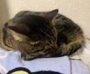気軽にお話ききます モヤモヤなんでも！あなたのためにあなたに寄り添ってお話します イメージ3