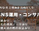 SNSで長期的な売上増加を実現します 過去の運用データに基づいた確度の高い運用 イメージ1