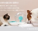 商品画像作ります ２つ画像作成完了で¥3,500-になります！ イメージ3