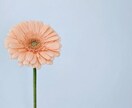 女性限定　電話でお悩み相談します 友達のように話してください自己啓発・生き方・人生なんでも イメージ1