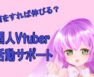 個人Vtuber向け活動設計・改善サポートします Vtuber活動のお悩み相談乗ります イメージ1