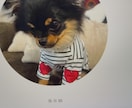 写真から作るペット刻印コースターつくります 犬・猫OK|写真からリアル彫刻|プレゼントにも◎」 イメージ3