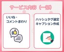正しい運用で集客・売上UP！インスタ運用代行します Instagram運用でファン化｜SNS運用を丸っとお任せ イメージ5