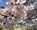 ママ＆パパからの相談・愚痴・お話聞きます 不安や愚痴、不快など解消しませんか？ただ話したい人も☆ イメージ2