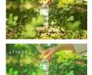 写真の色味加工、修正を致します 写真を綺麗にしたい、より印象深くしたい方へ イメージ2