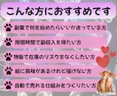 猫のアート作品を誰でも販売できる方法を教えます AIと無在庫販売で手間をかけずに売る仕組みが作れる副業です！ イメージ5