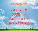 Instagramのフォロワー増加させます 即日対応。複数購入で割引あり！ イメージ1
