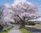 あなたの夢、野望を教えて下さい。全部お聞きします 人に言うのは恥ずかしいでも言いたい！そんなあなたを応援します イメージ8
