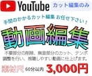 YouTube動画・長尺動画のカット編集を行います シンプルなカット編集を低価格で承ります イメージ1