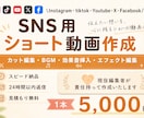 SNS用動画編集を作成します 動画編集が必要な方必見！現役編集者がお手伝いします イメージ1