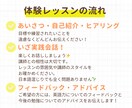 超初級から中上級まで！体験レッスンします 英検1級講師が文法・発音・試験対策全てサポート！【25分】 イメージ2