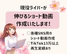 あなたの理想のショート動画、作ります 各種SNS用の縦型動画を作成します！ イメージ1