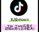 TikTok広告の設計からクリエイティブ制作します 現役アフィリエイト会社が広告設計、クリエイティブ制作します！ イメージ1