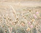 不倫占い｜あの人の本心・未来を神霊視で占います 相手の秘めた想い、複雑恋愛の行方を鮮明に占います イメージ10