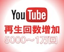 Youtube再生回数5000回増まで拡散します YouTubeを宣伝します！収益化の近道！振り分け無料 イメージ10