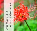 不倫鑑定＊揺れる心と未来の可能性を丁寧に鑑定します 霊視でお二人の心と未来を深く視させていただきます イメージ5