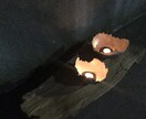 なんでも大丈夫、作業療法士が聞きます・応えます 少しでも気持ちを軽く、明日の目覚めが良くなりたいあなたへ イメージ6