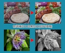 プロが画像加工・修正(レタッチ)いたします 写真館での業務経験を活かして画像加工いたします イメージ5