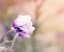占ってもらったけど期待と違う納得いかない話聞きます トークルームで、占い大好き！な方の話何でも聞きます！ イメージ5