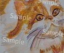 ジャンル不問！どんなイラストも色彩豊かに表現します こちらはオリジナルイラスト、絵画作品をご要望するページです。 イメージ3