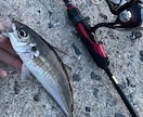 ルアー釣り教えます 今から始める初心者にも実績を踏まえてわかりやすく解説します！ イメージ3