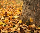 11月の運気を占います 次に来る流れには〇〇をして〇〇には要注意! イメージ5