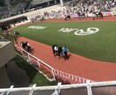 競馬初心者に馬券の買い方教えます 競馬を最近始めたけど当たらない！っていう方でもOKです！ イメージ2