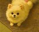 否定しません。責めません。全部受け止めます 恋愛・人間関係のモヤモヤ、整理するのが得意です。 イメージ1