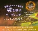 動物たちの本音透視！ペットの本音占います 言葉にならない想いを霊視で受信しあなたへ丁寧に優しく伝えます イメージ1