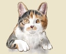 愛猫さんのイラストを描きます ちょっぴりリアルでおしゃれな雰囲気に仕上げます イメージ6