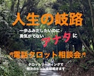 タロット人生相談!貴女の人生が輝くヒントを出します 一歩踏み出したくても勇気がない時、タロットで背中を押します！ イメージ1