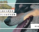 CanvaでInstagram投稿画像を作ります Canvaで目を引くSNS投稿画像を作成します イメージ2