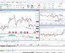 あなたの【FX】裁量トレードを代わりに検証します フォレックステスターであなたのトレード戦略をプロが分析！ イメージ3