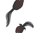 安価で動物のイラスト描きます ※アイコン使用以外の用途でもでもご利用いただけます。 イメージ4