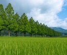精神疾患とともに働く保育士が、あなたのお話聴きます 否定しません/悩み/話し相手/愚痴/精神疾患/不安/保育士 イメージ7