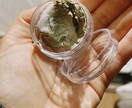 安心安全な歯磨き粉を手作りします お茶屋の娘がクレイ(泥、粘土)を使って丁寧にお伝えいたします イメージ1