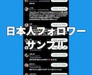 Xツイッター日本人フォロワーを100人〜増やします X(旧ツイッター)の日本人100人増加ほぼ減少なし イメージ4