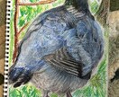 虹の橋を渡った大切なペット様の似顔絵を作成します 天国へ旅立ったペット様の似顔絵を描きます イメージ8