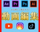 動画編集　ショート〜中尺まで対応します お客様に寄り添った制作をいたします イメージ1
