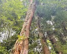 あなたの気持ちに優しく寄り添います 気持ちが軽くなるお手伝いをさせてください♪ イメージ3