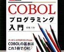 プログラミングのCOBOLの基礎教えます 分からない文脈、どう書いたらいいの？基礎的なことなんでも☆ イメージ1